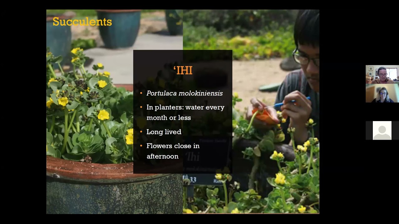 LICH Webinar Series October 2021: Native Plants