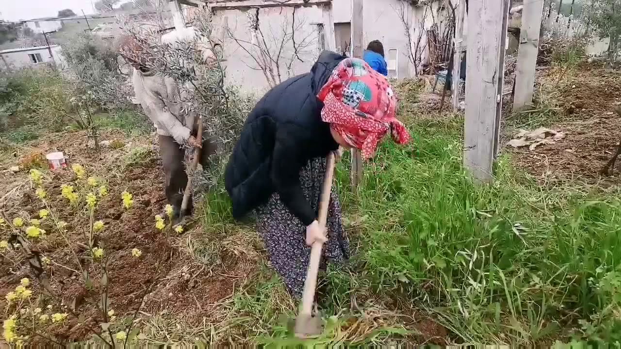 Kızlarımız Kevser Ve Özlem Ne İşler Yapıyor? | Bahçe İşleri Çapa Yaptılar Anılarımız Tazelendi