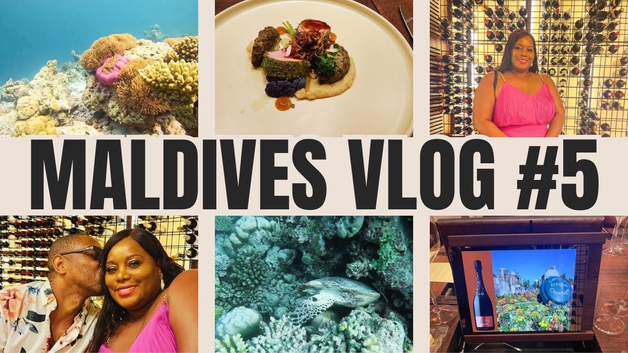 Maldives Travel Vlog Day 5 Snorkeling & The Wine Cellar