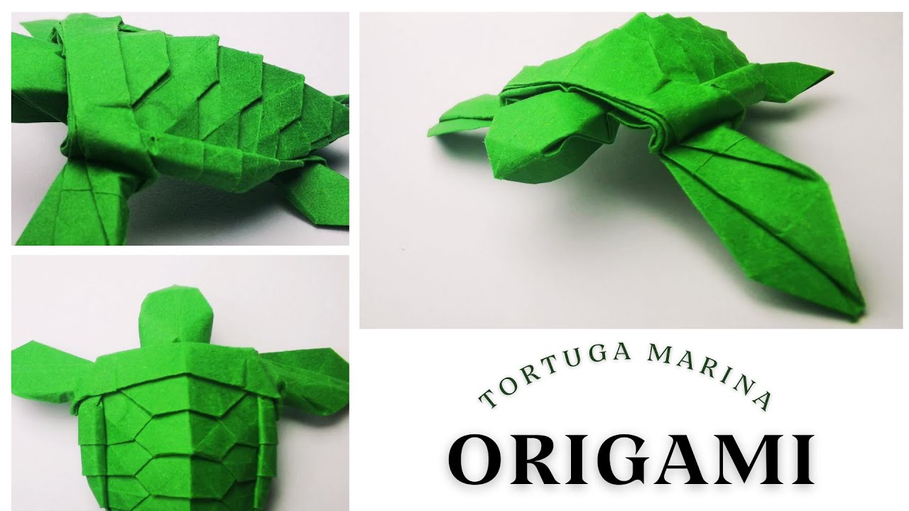 TORTUGA ORIGAMI (turtle: Lien Quoc Dat)