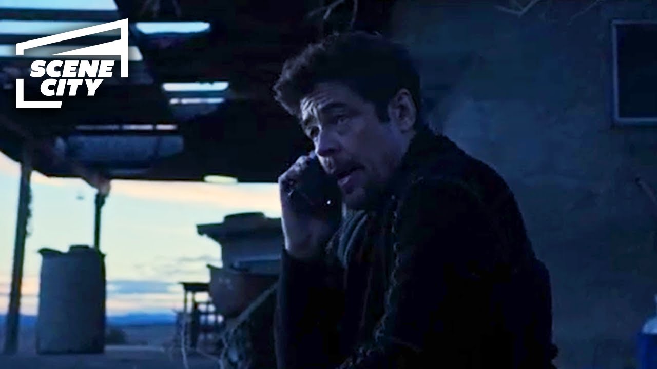 Sicario Day of the Soldado: Good Luck, Partner (Benicio del Toro Scene)