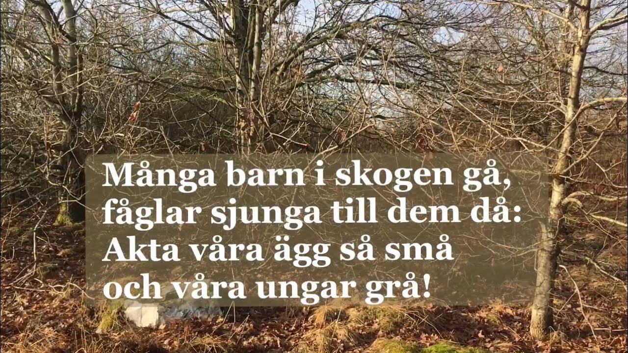 Akta skogen (med text) | Äldre visa | Alice Tegnér | Disa Beijer