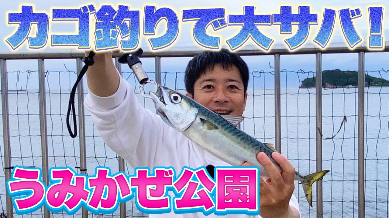 【横須賀うみかぜ公園】40cm超の大サバが釣れた！いま横須賀が激アツ！