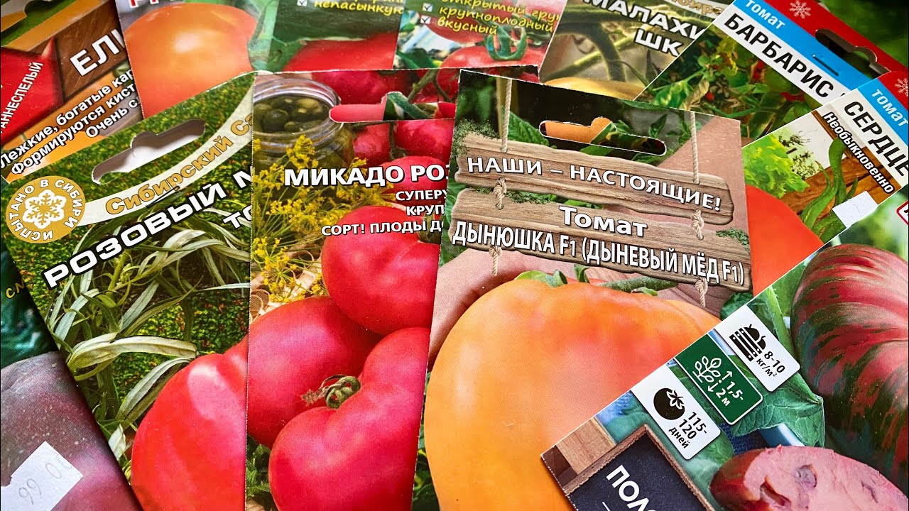 Суперурожайные томаты - Обзор 2023! Слаще только в сказке!#обзортоматов#уральскиетоматы