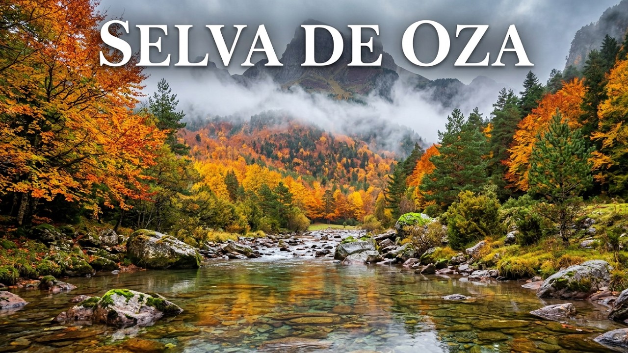 Bosques de CUENTO en el PIRINEO de Aragón - Hogar de OSOS y BRUJAS - Selva de Oza