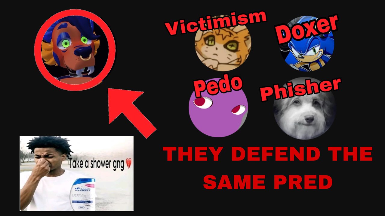 Sonic VRC: Predators vs Truth (They HATE Me)