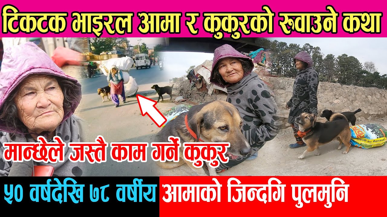 टिकटक भाइरल ७८ वर्षीय आमा र कुकुरको रुवाउने कथा : कस्तो अचम्म मान्छेले जस्तै काम गर्ने कुकुर भेटियो