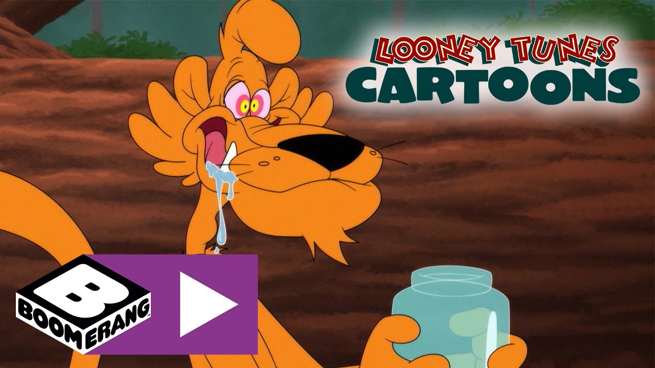 Looney Tunes Cartoons | Puma Problems | Boomerang UK