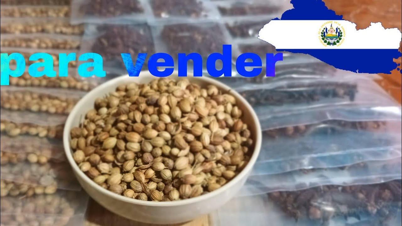 Como hacer tiras de especias para negocio te cuento donde comprar y a que precio dar tus especias