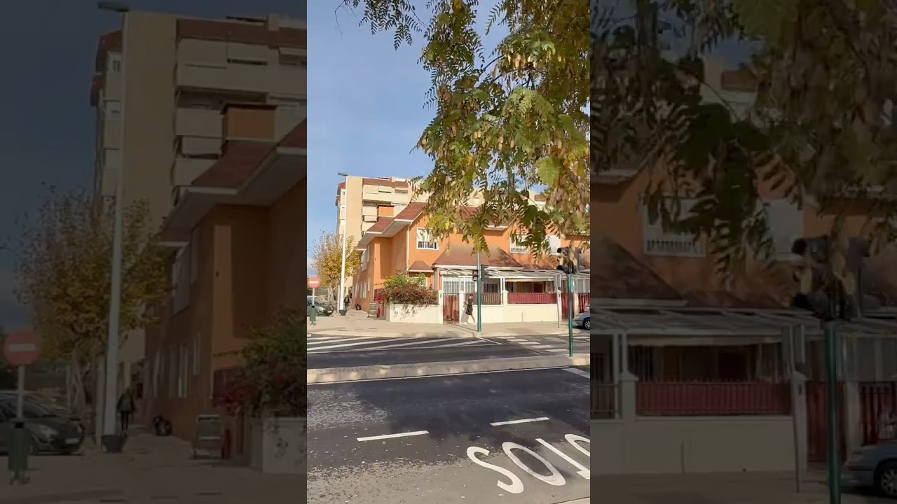 Nobody talks about this part of Elche 🌴#elysianhomes #property