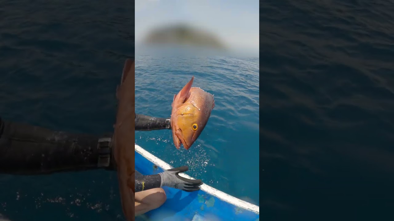 This Fish Has Human Teeth