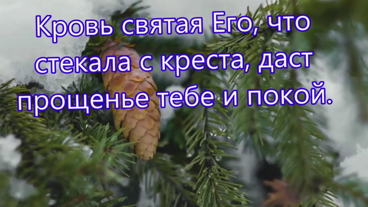 Богослужение 07.02.2026