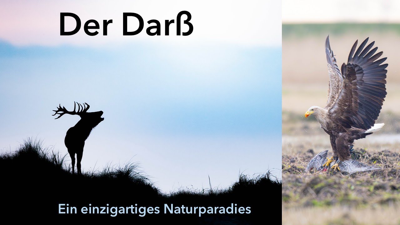 Der Dar&szlig; - ein unglaubliches Naturparadies.