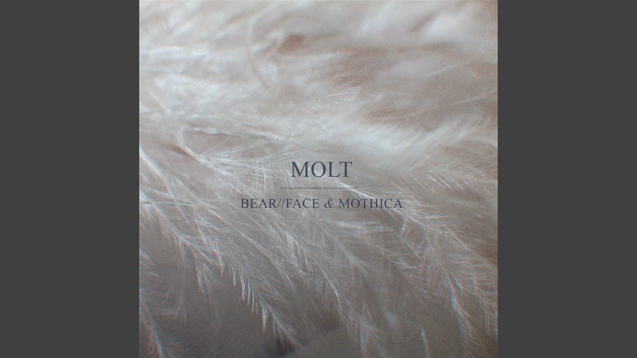 Molt
