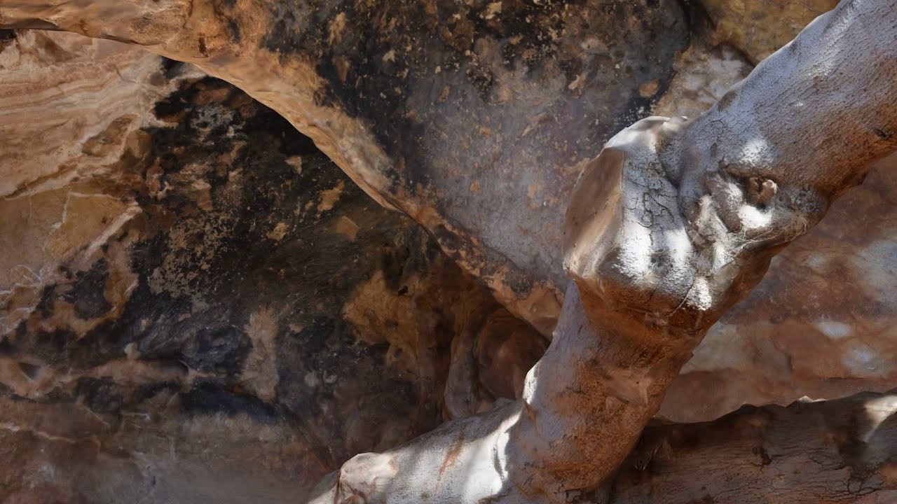 Cueva de la Higuera (Cartagena)