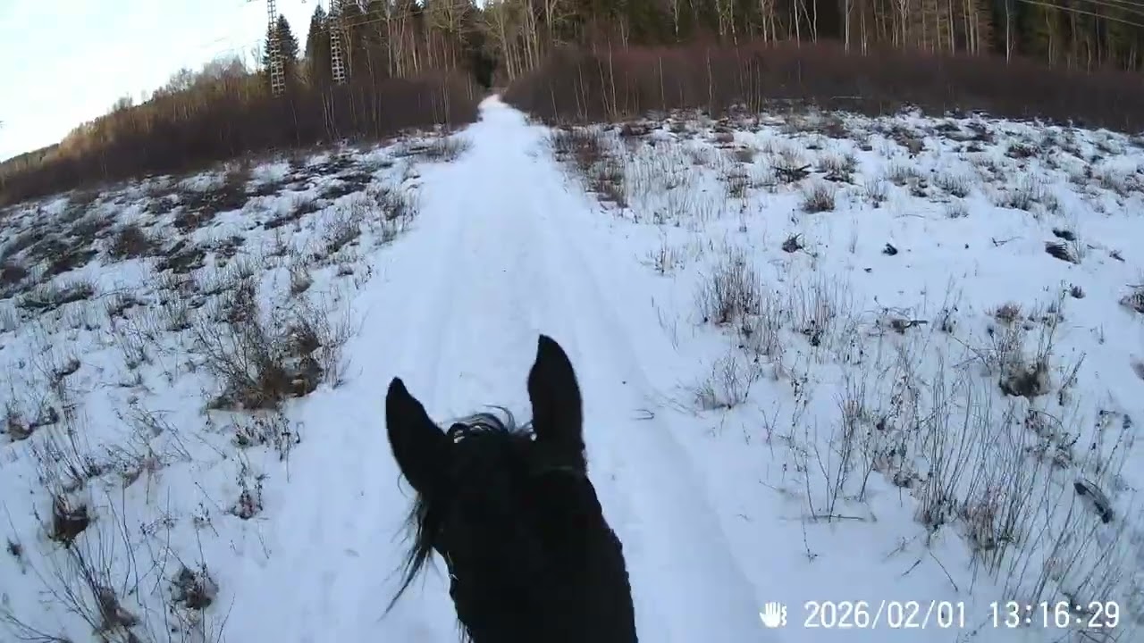 Melice vinterträning 2026 02 01