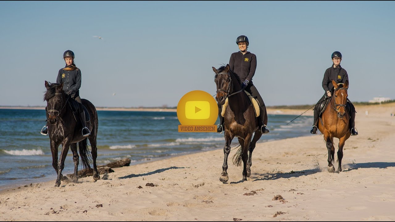 Strandreiten an der Ostsee