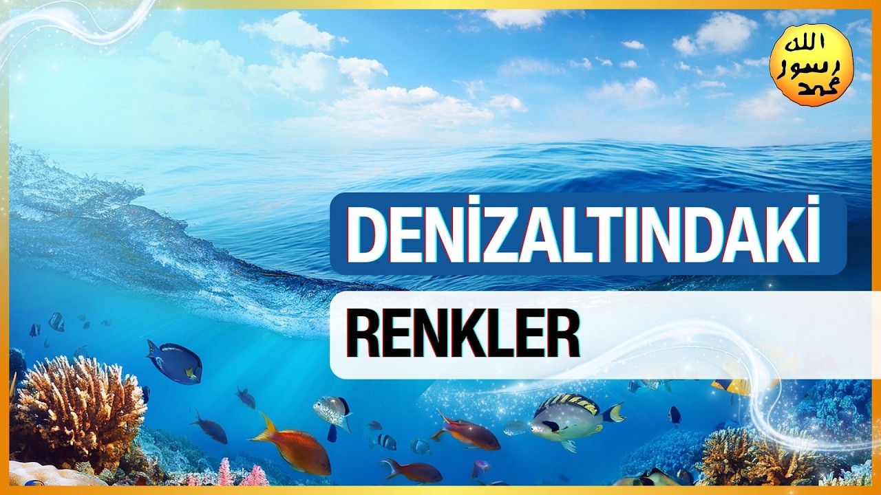Denizaltındaki Renkler