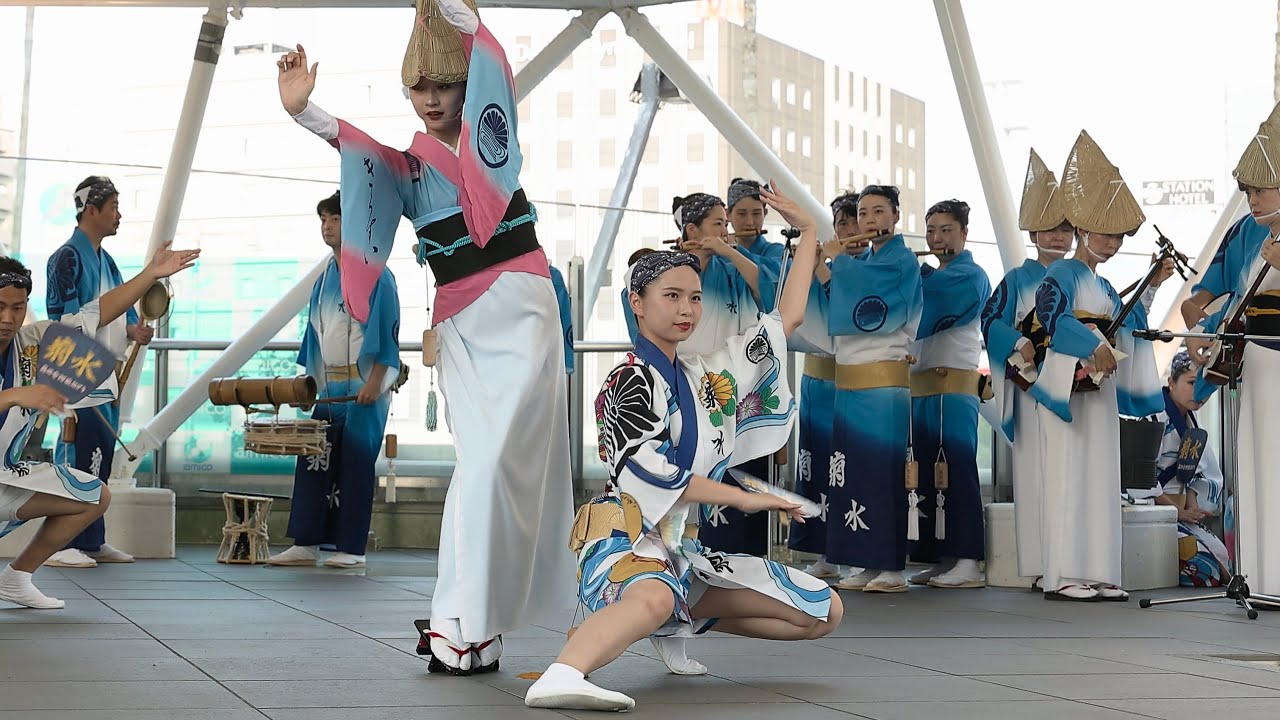 高円寺菊水連 アミコドーム 阿波おどり2025 阿波踊り