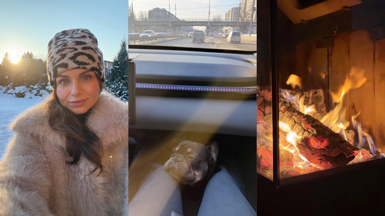 Vlog: Впервые у ветеринара💉🐾Всё жёстче становится жить в Украине😞🥺💔