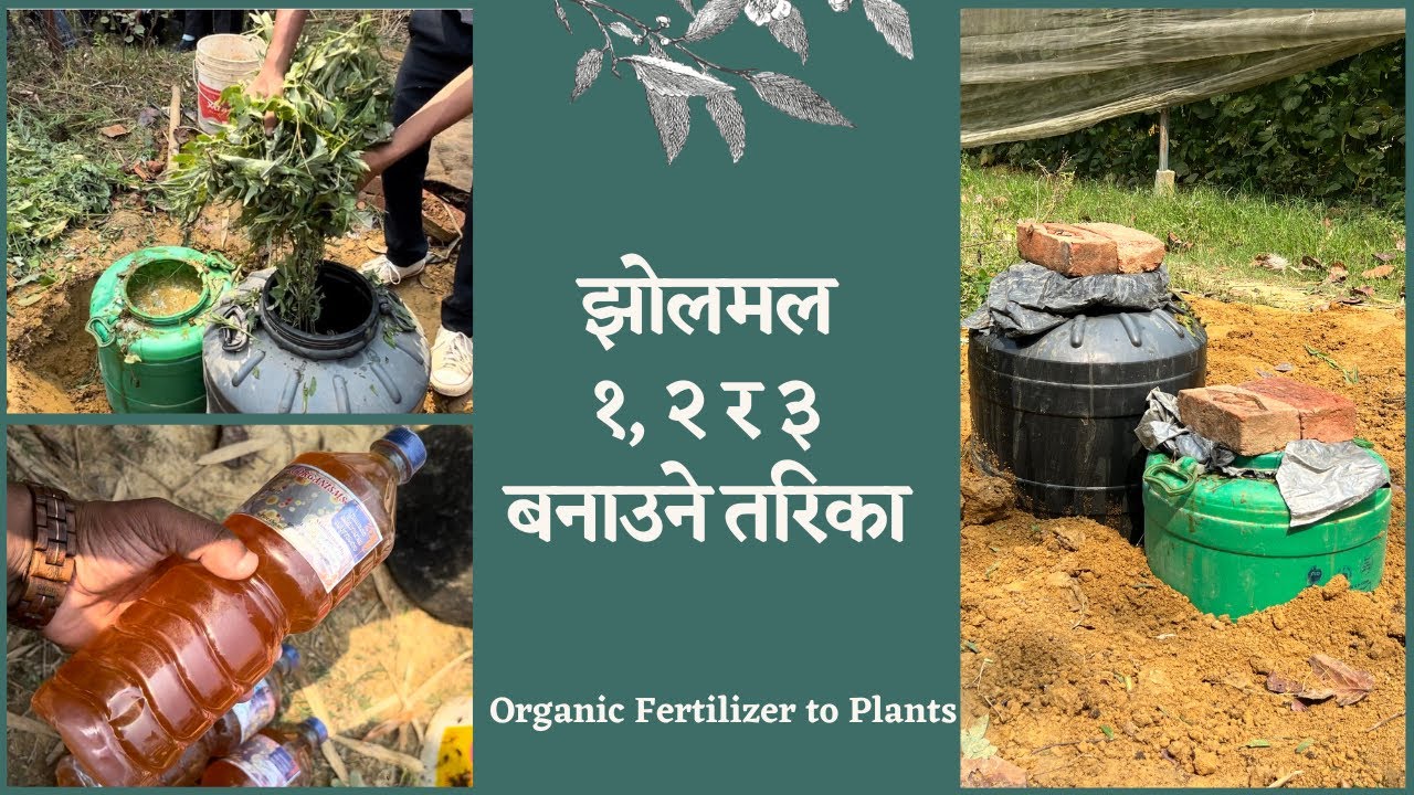 Homemade Organic Manure||  झोलमल (१,२,३)/Jhol Mal 1,2,3  || बिरुवालाई तत्त्व, रोग र किरा व्यवस्थापन