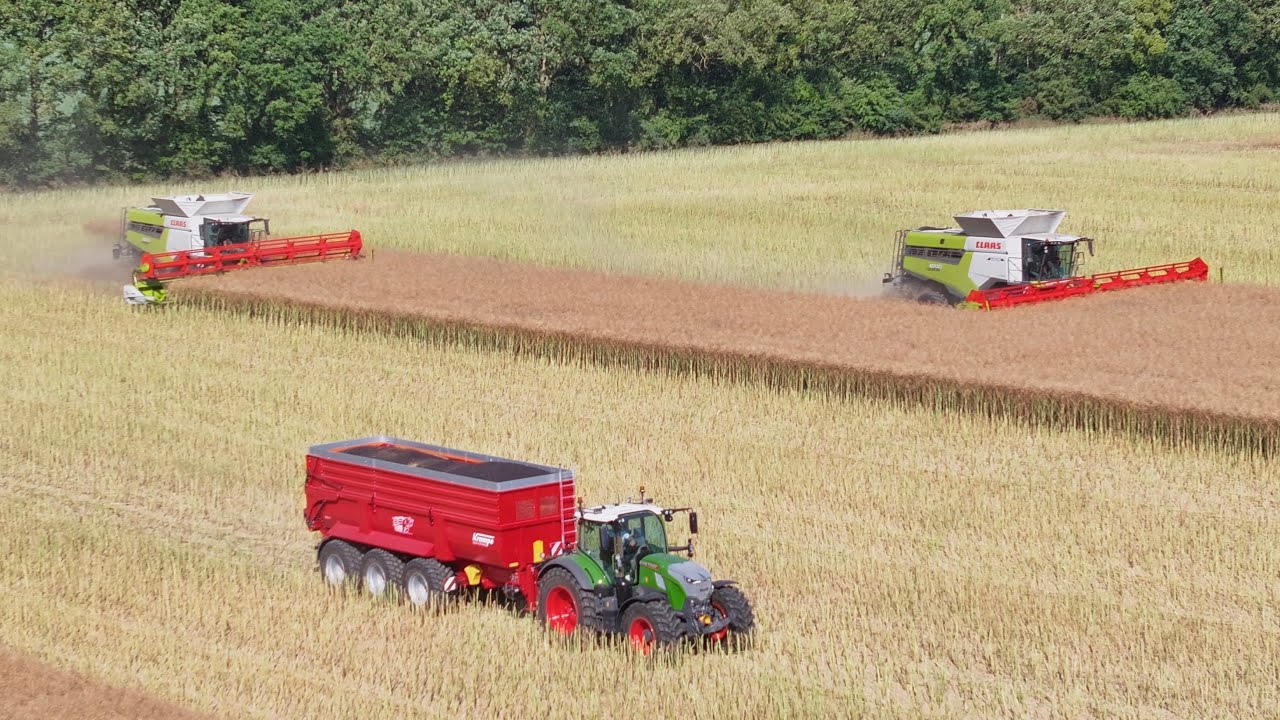 2x CLAAS LEXION 8000 🇫🇷/ Moisson de Colza / Krampe SK800 🔴 / FENDT 728 Design line 💨 / ETA DEBRAY