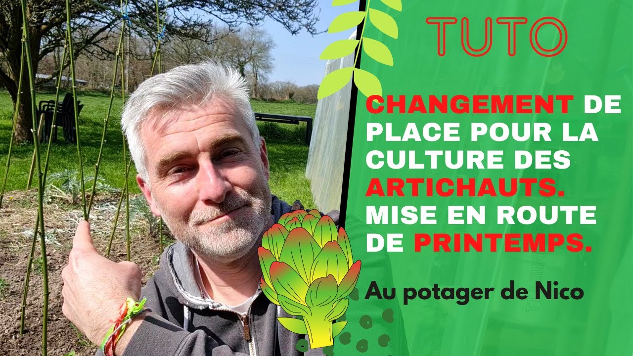 Déplacement des artichauts 🌳, en début de printemps, c'est le moment.