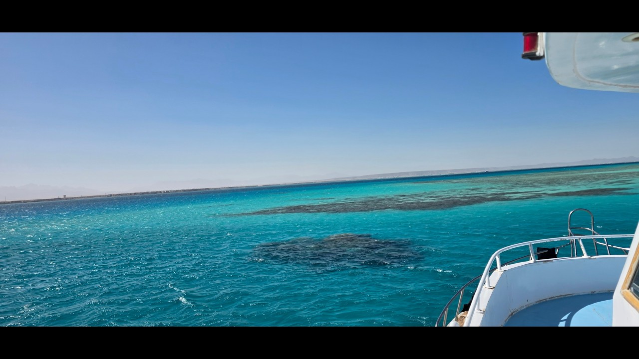 2026 02 19 Diving in Hurghada
