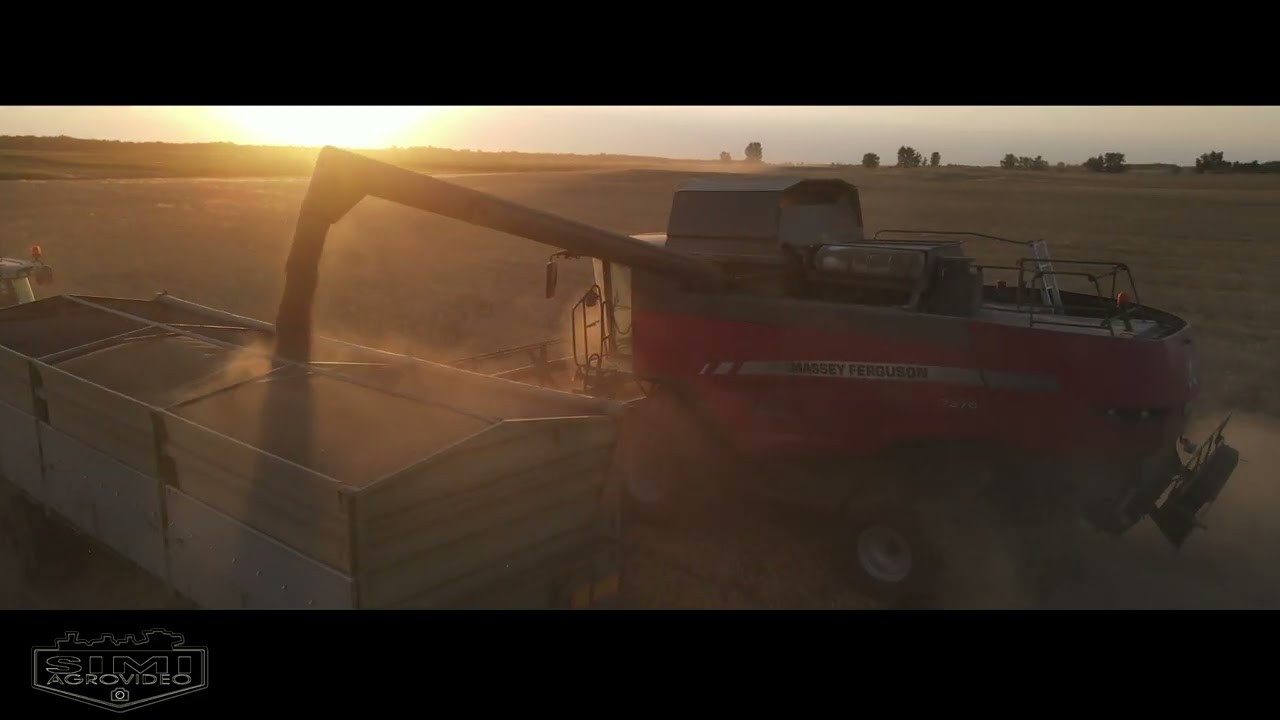 Piller Ranch - Bácsalmás 2022: MASSEY FERGUSON BETA 7370, MASSEY FERGUSON S6715+RB 4160, MF 7722