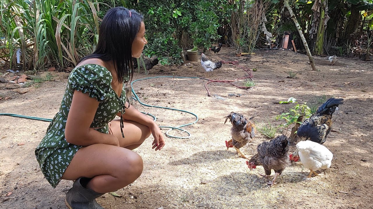 A vida real de uma jovem mulher, que largou a cidade pra viver entre campos e animais. 