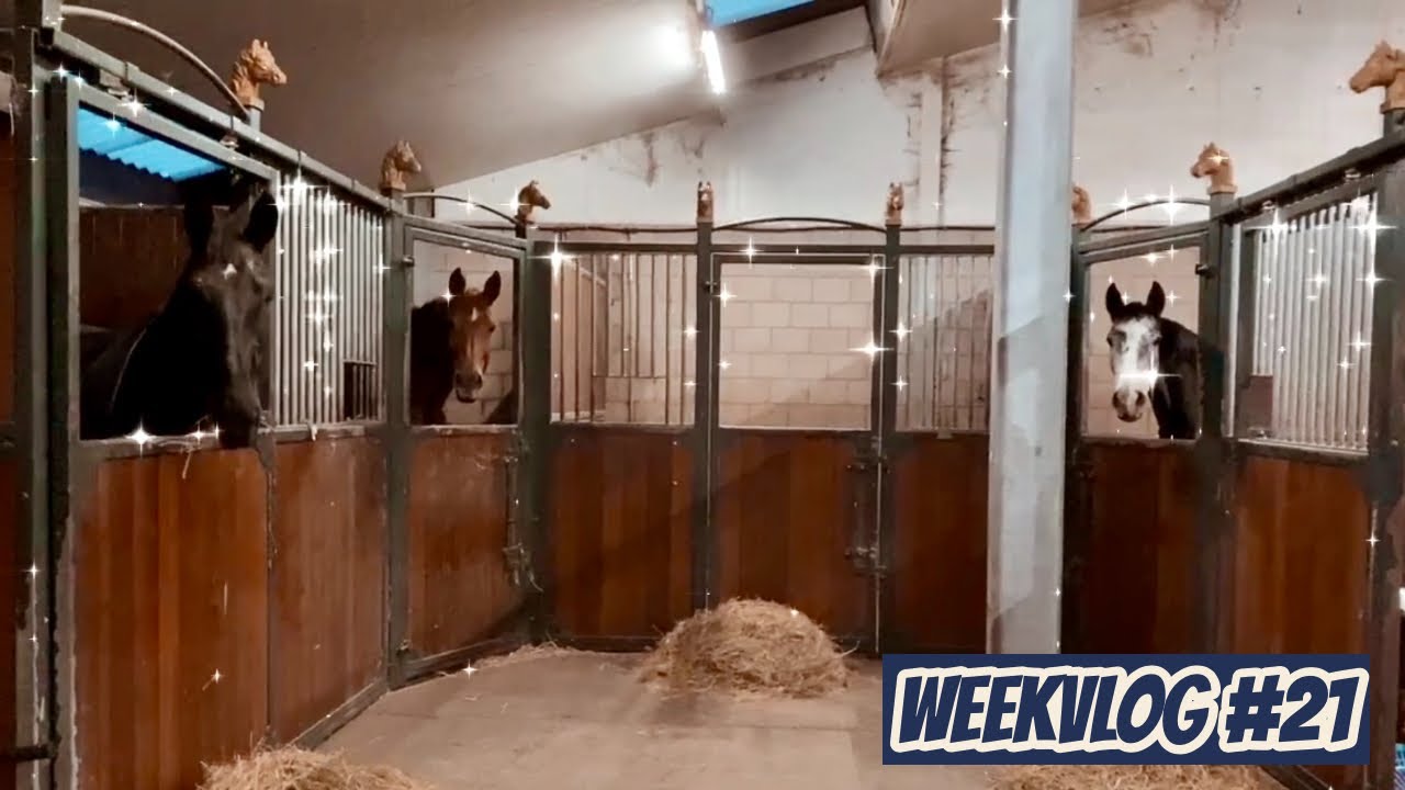 ONS NIEUWE PLEKJE + STALTOUR & SPRINGEN MET DE PAARDEN | Weekvlog 21 | Horses by Demi