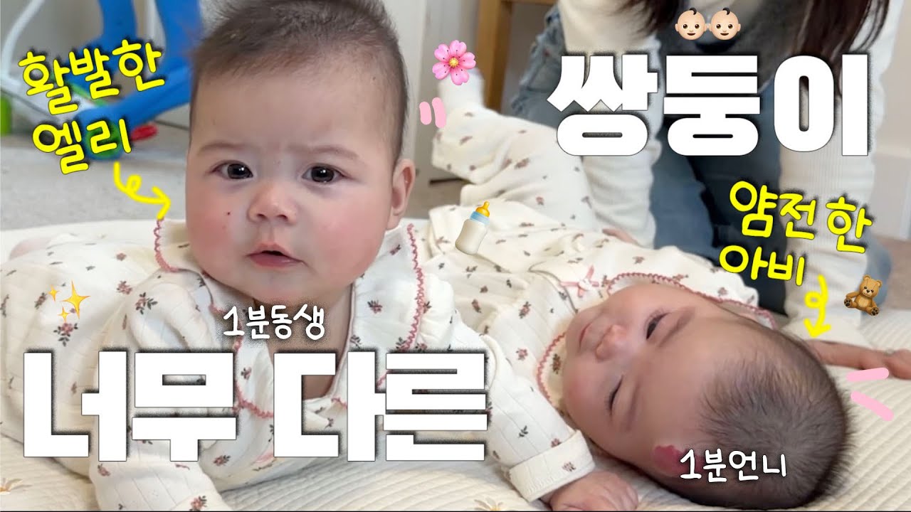 같은 날 태어났는데 분유·낮잠 전부 다른 쌍둥이 리얼 육아 👶🏻👶🏻💖 새해에도 정신없는 삼남매 육아!
