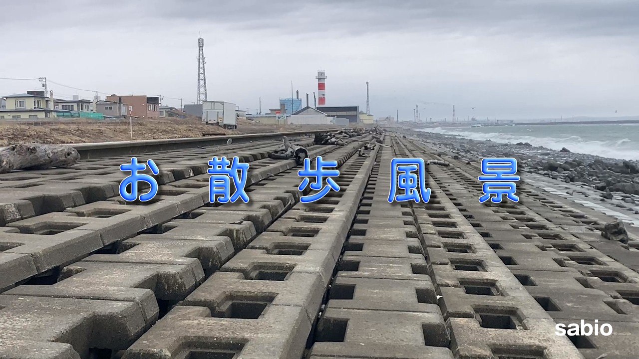 2026.03.08　お散歩風景