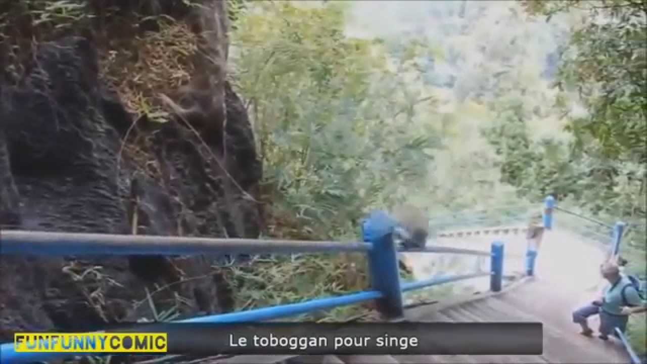 ПРИКОЛЫ 2015| Fail compilation 2015