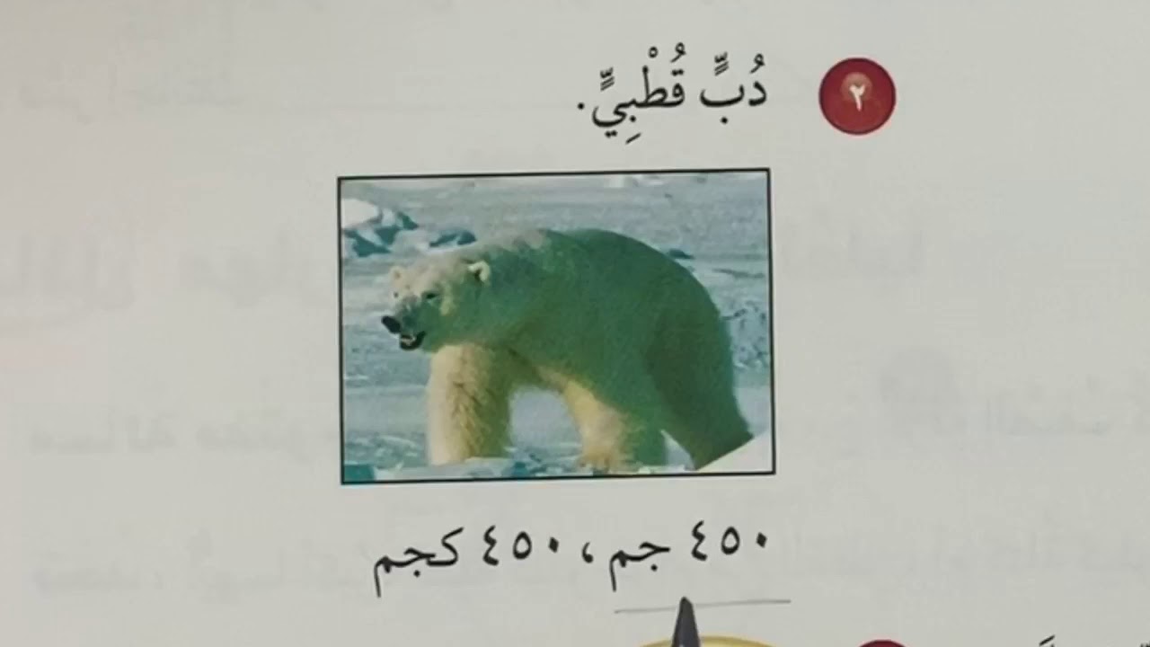 وحدات الكتلة في النظام المتري - رياضيات الصف الرابع الفصل الثاني