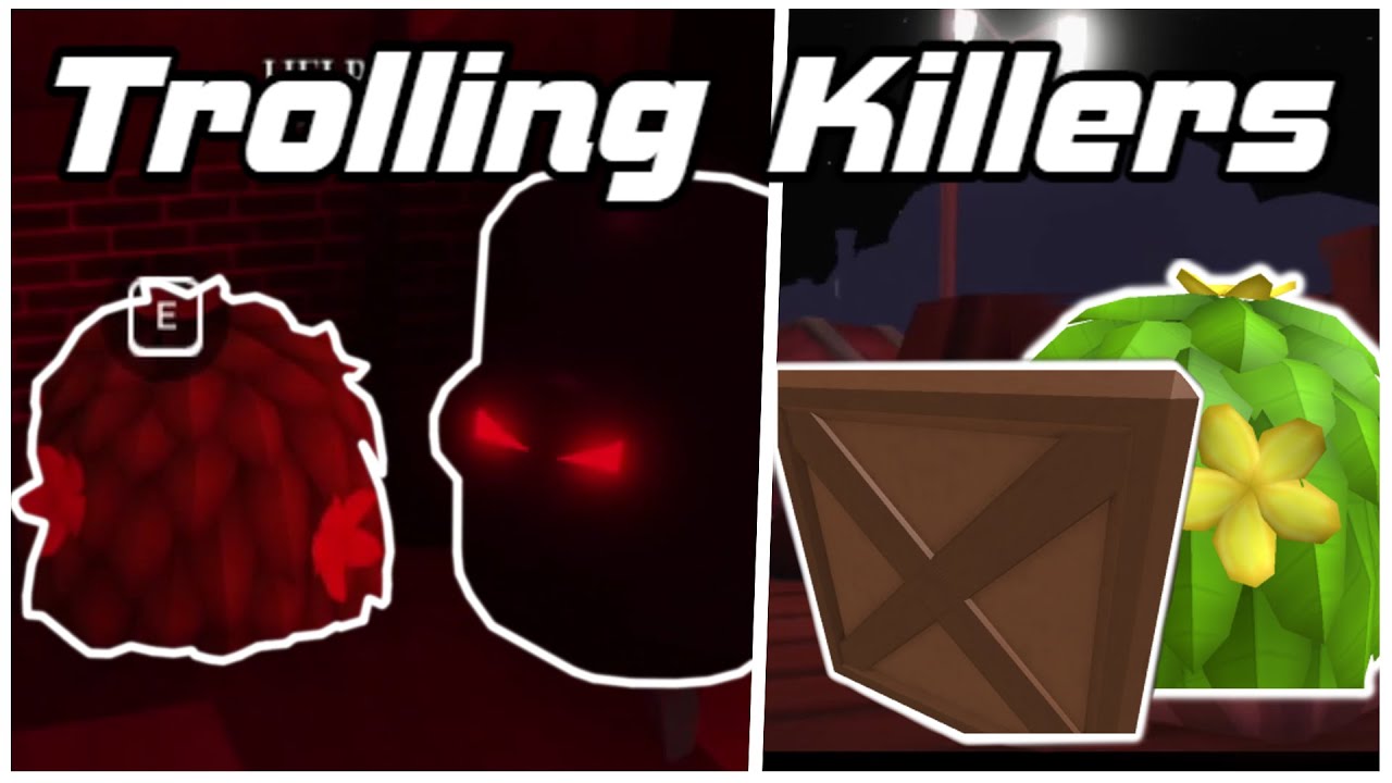 BEST WAY TO TROLL A KILLER || 🔪Survive The Killer