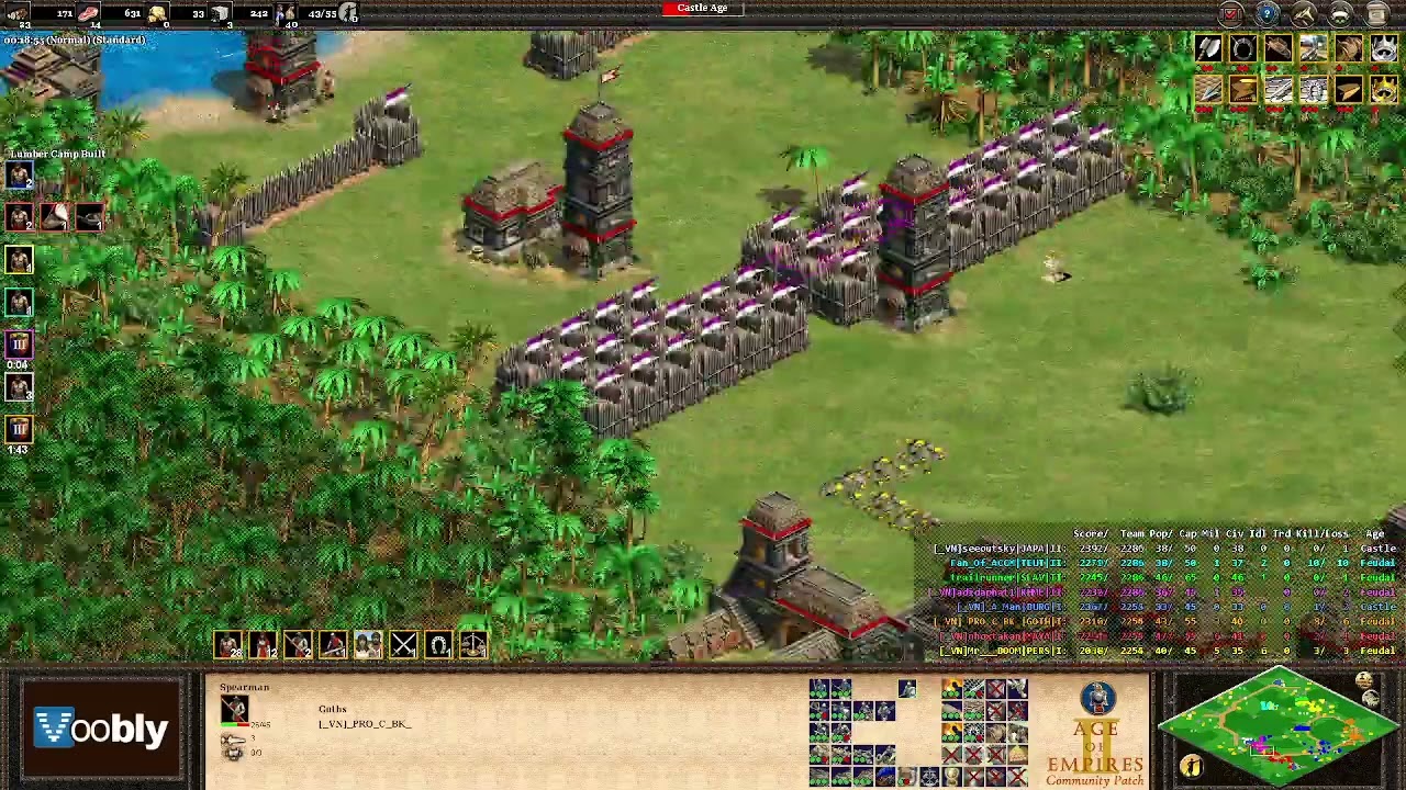 Voobly AOE2 1.6: BF Lord, командная игра 4 на 4