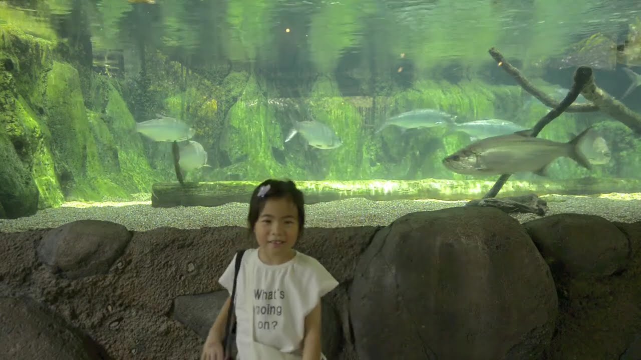 river wonders