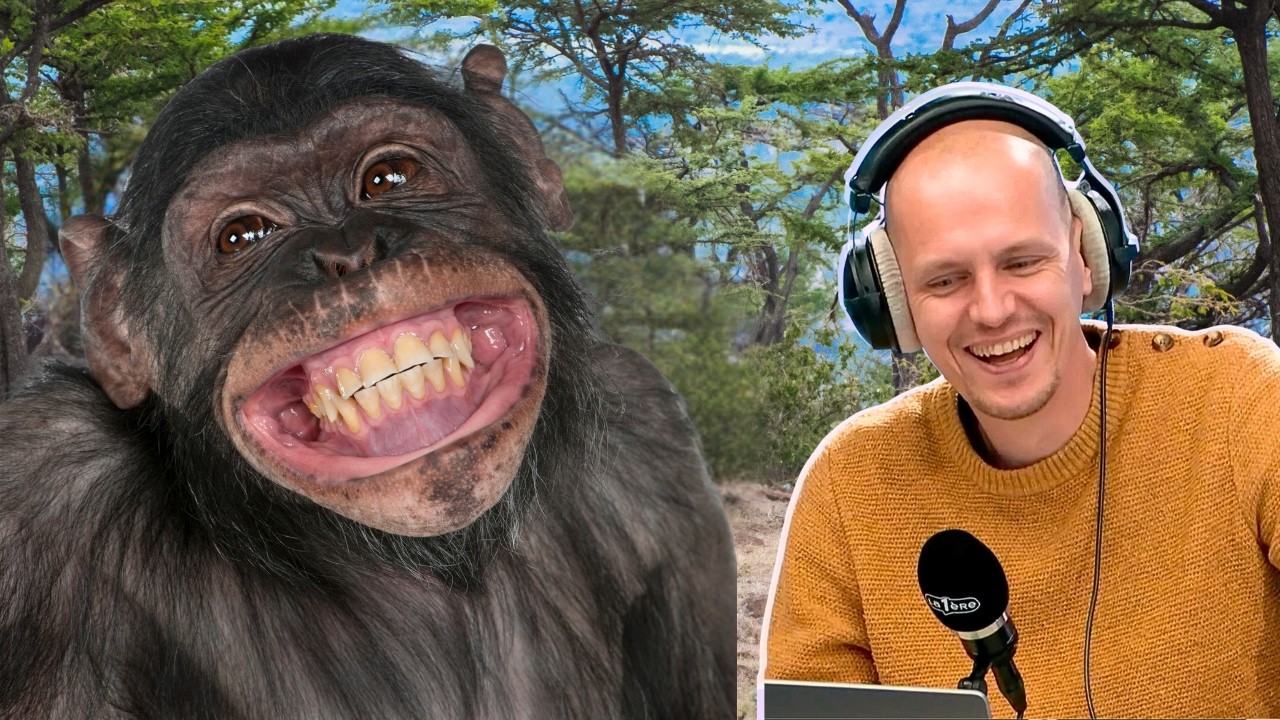 Les animaux sont-ils capables de rire?