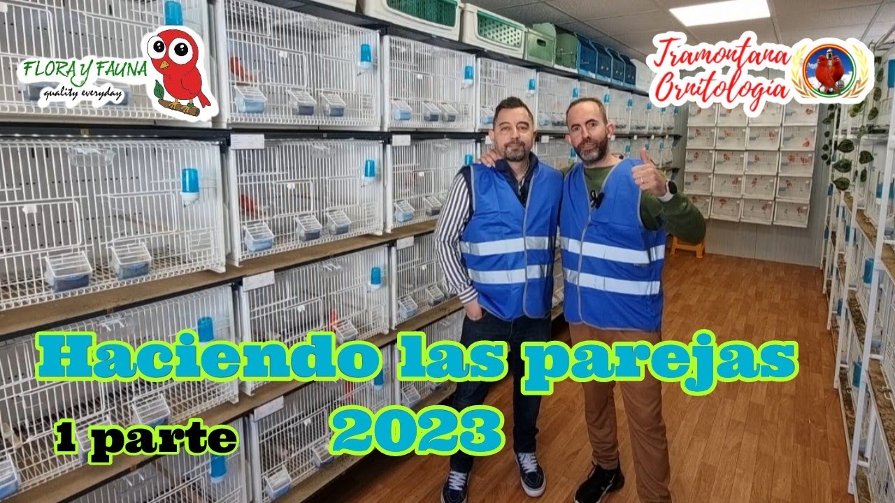 Haciendo las parejas 2023.