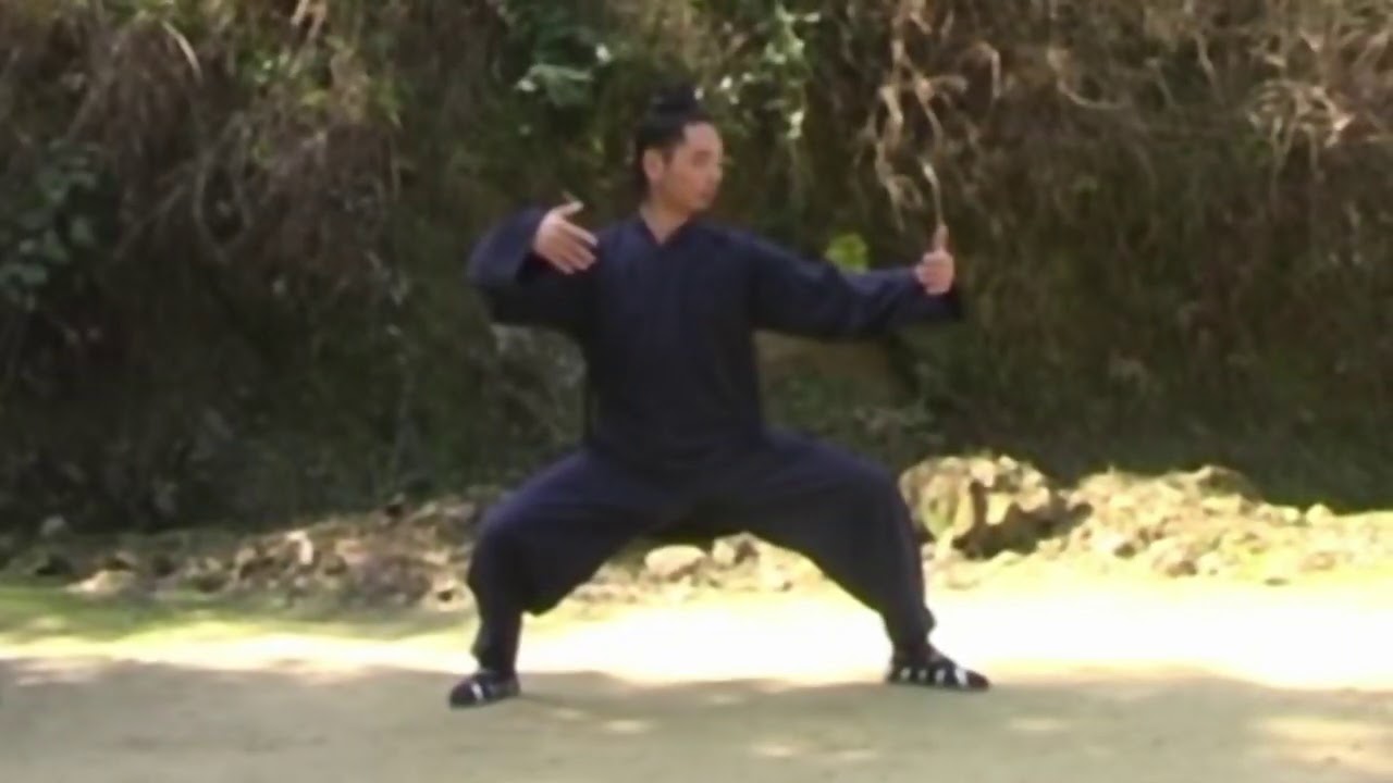 Master Chen Shiyu teaching Xuan Wu Quan - Part 1
