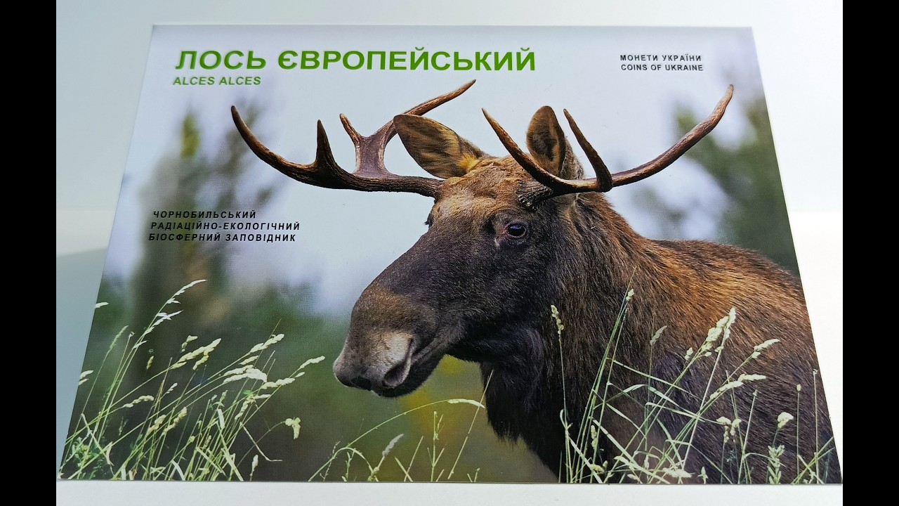 'Лось європейський', або як ІМ НБУ вчергове 'взув' клієнтів...
