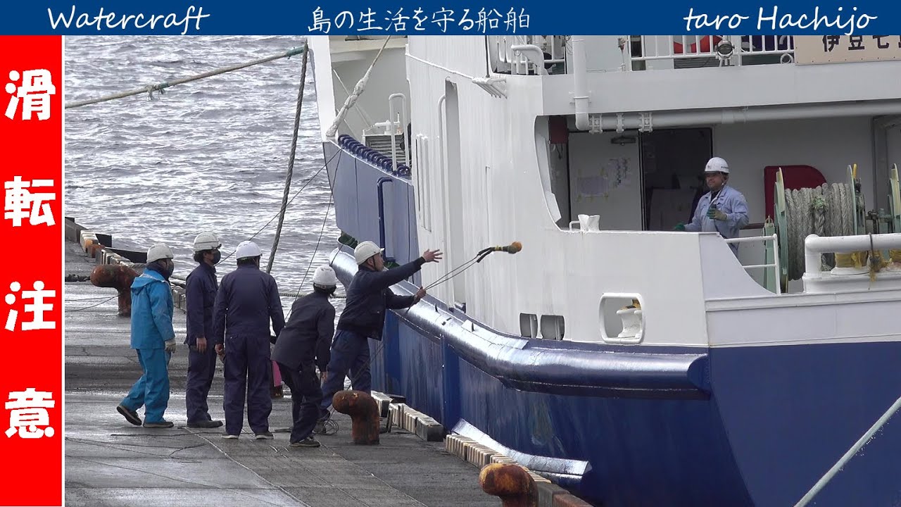 八重根の「あおがしま丸」 　滑る岸壁で綱取り