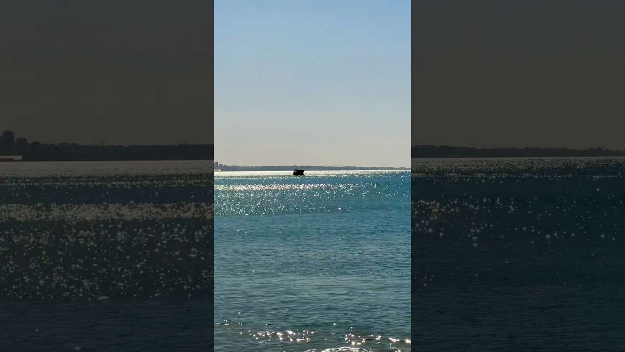 A Boat, the Ocean, and the Rising Sun😍🌊 #OceanMorning #SunriseVibes #FishingBoat #NatureSounds