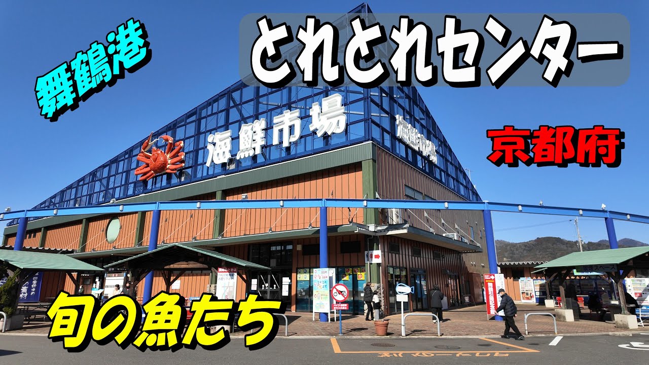 【舞鶴港とれとれセンター】京都府の日本海　真冬の『旬の魚たち』