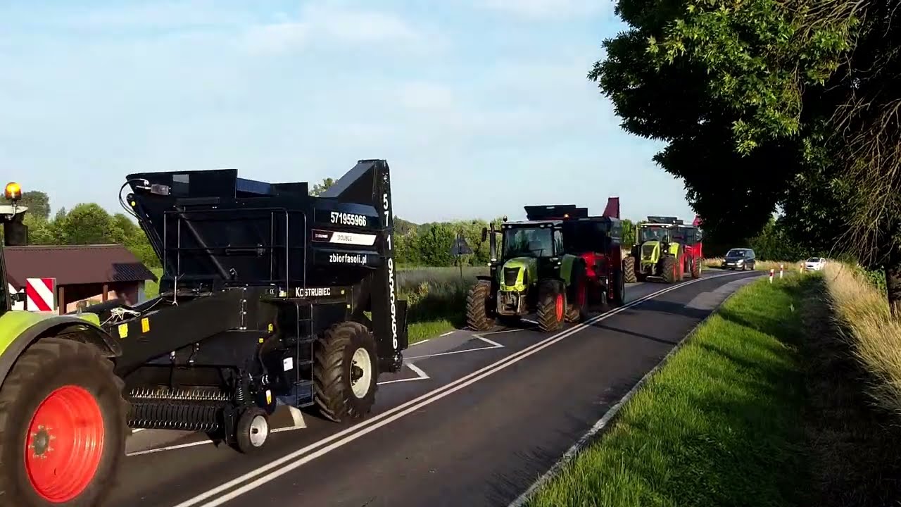 Młócenie fasoli // 3x Claas Double Master IVs // 571 955 966 // Kostrubiec - zbiorfasoli.pl