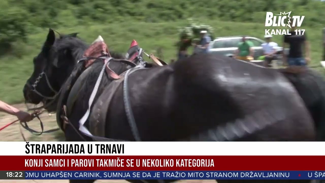 U Trnovi organizovana prva &Scaron;TRAPARIJADA: Takmičenje konja u vuči balvana prava atrakcija | VESTI