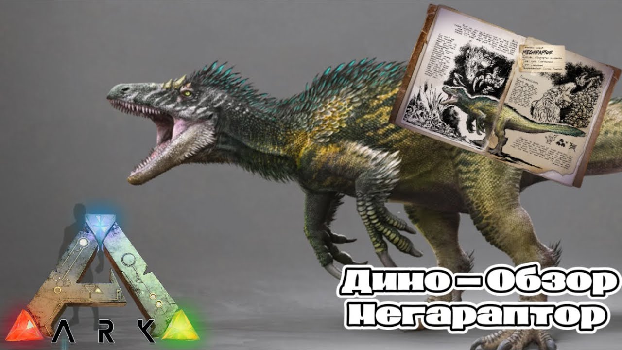 ARK SURVIVAL ASCENDED ДИНО ОБЗОР МЕГАРАПТОР. ПРИРУЧЕНИЕ, СПОСОБНОСТИ, ОСОБЕННОСТИ