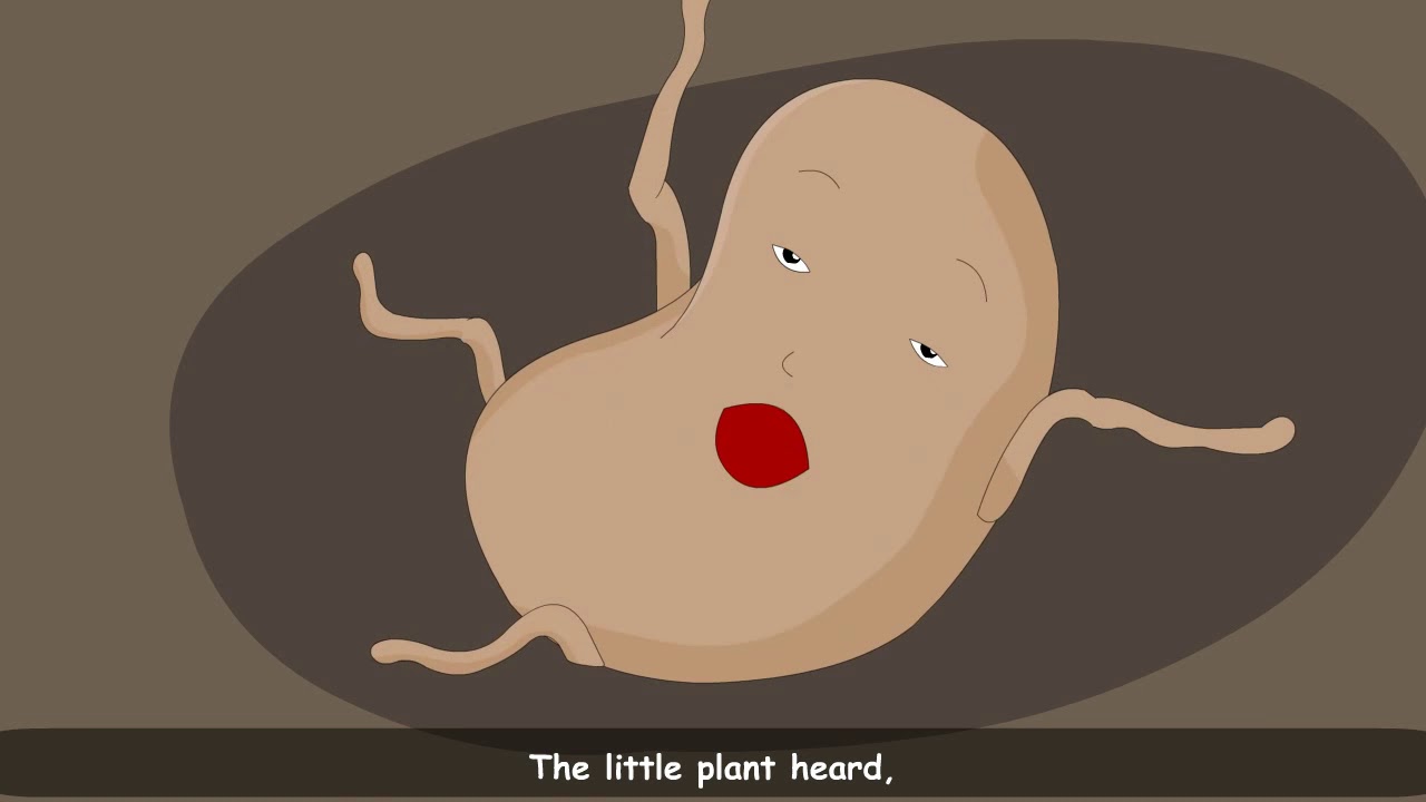 Poem  - The Little Plant - English Coach 2