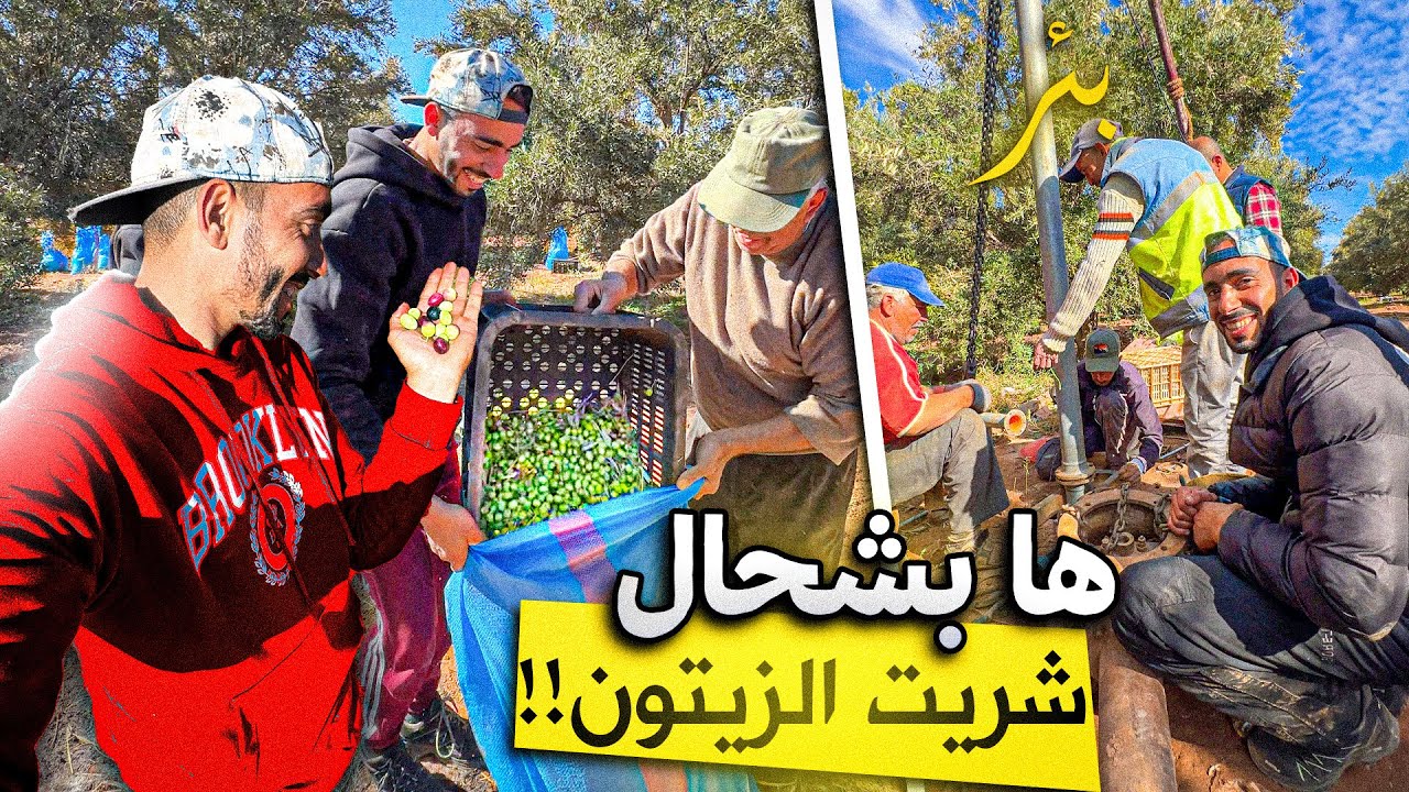 	اشتريت  الزيتون قلعة السراغنة الممتاز🤩 بأرخص ثمن في المغرب! الجودة صدمتني 🔥🇲🇦